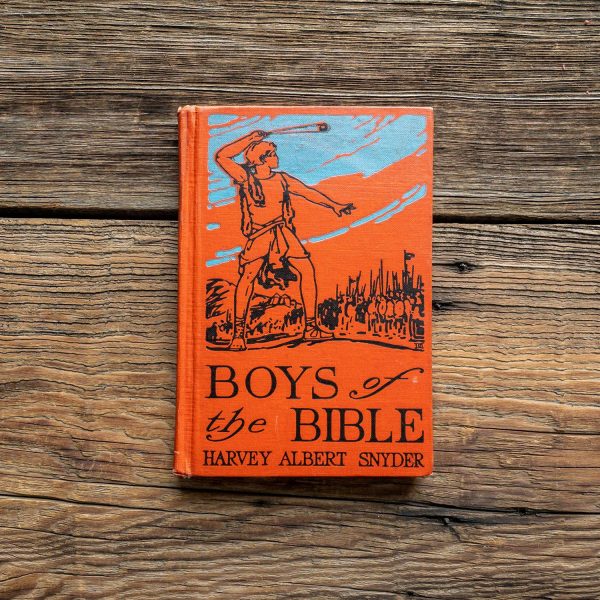 Boys of the Bible Book